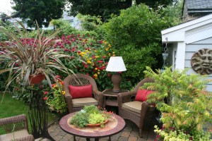 buffal garden 1