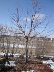 DSC01443