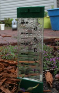 rain gauge