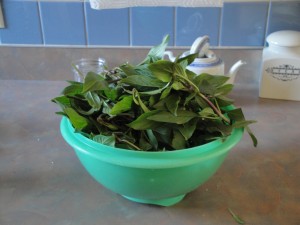 Thai basil ready to use