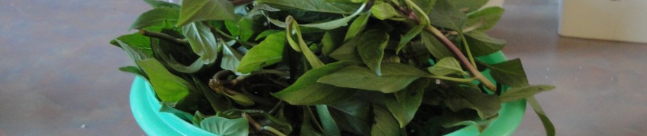 Thai basil ready to use