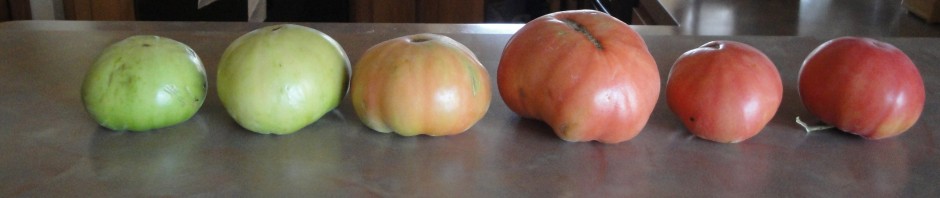 green tomatoes