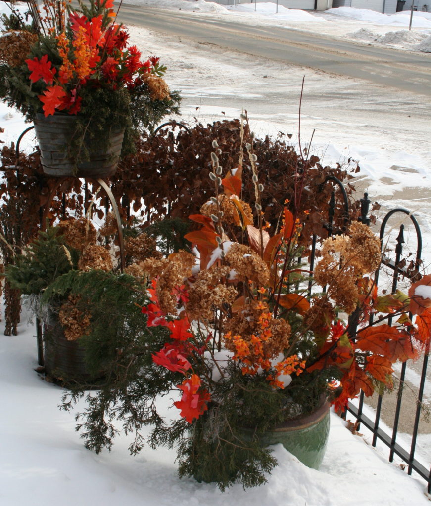 winter display at terrace books