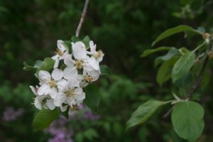 IMG_9197