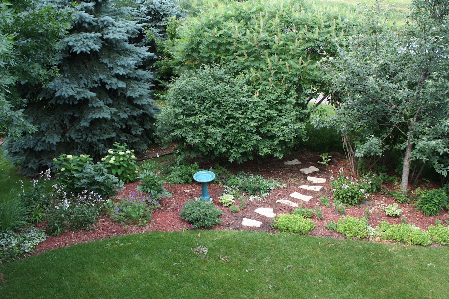 garden with large shrubs