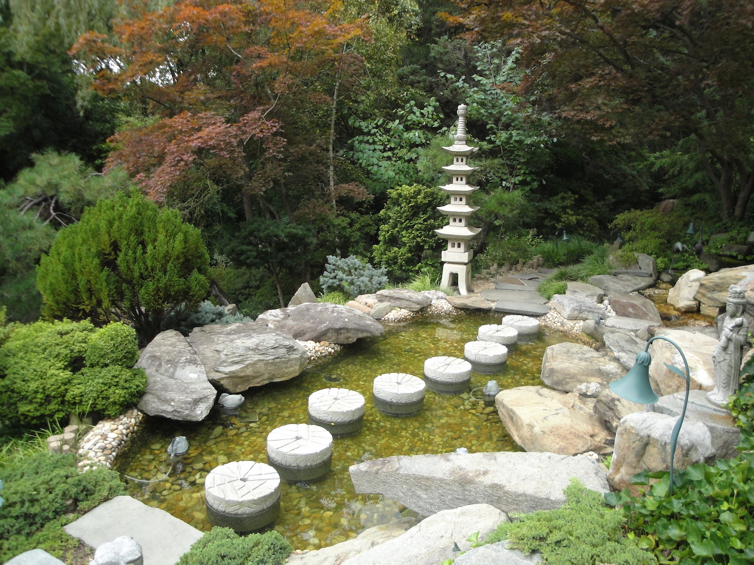 pond in Japanese garden