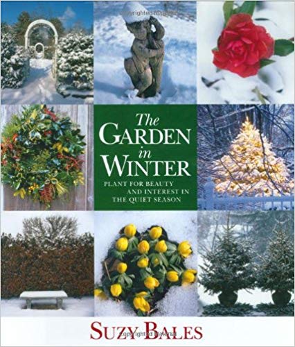 garden in winter cover