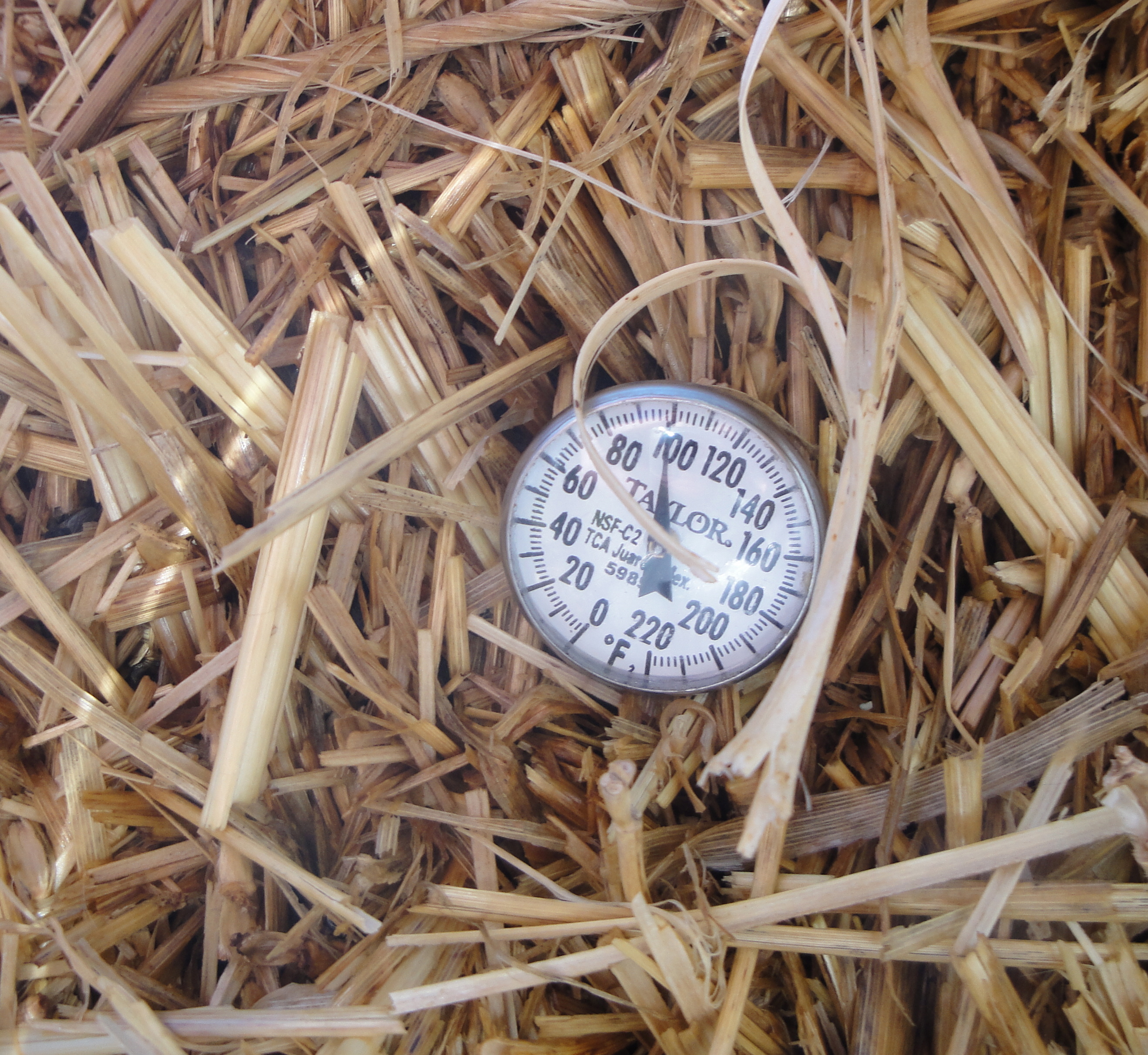 thermometer in straw bale