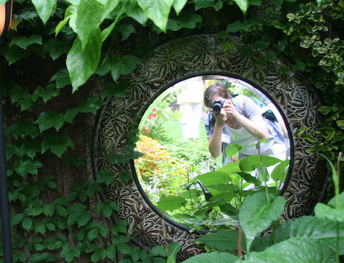 garden blogger with camera
