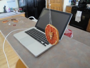 computer and grapefruit ornament for holiday decoration