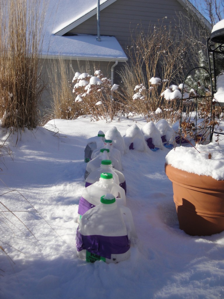 winter containers outside
