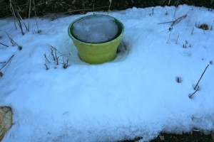 snow