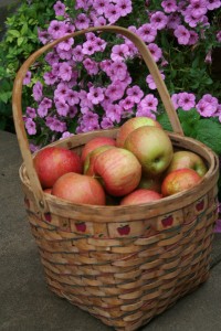apple basket