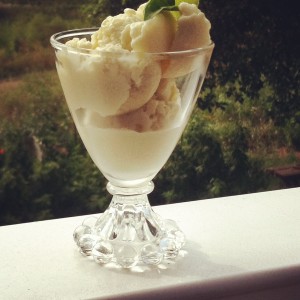 Dairy free basil gelato -- lime, coconut, basil, yum.