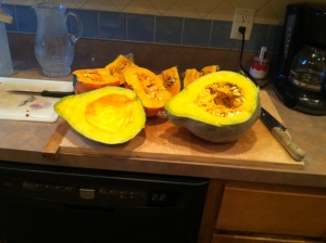 That's a lot of squash!