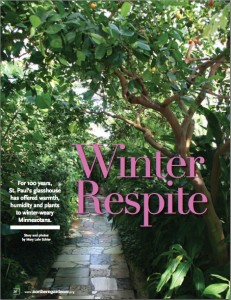 Winter Respite image