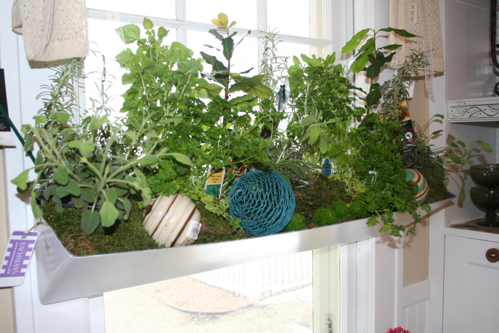 This self-watering planter holds herbs in pots.