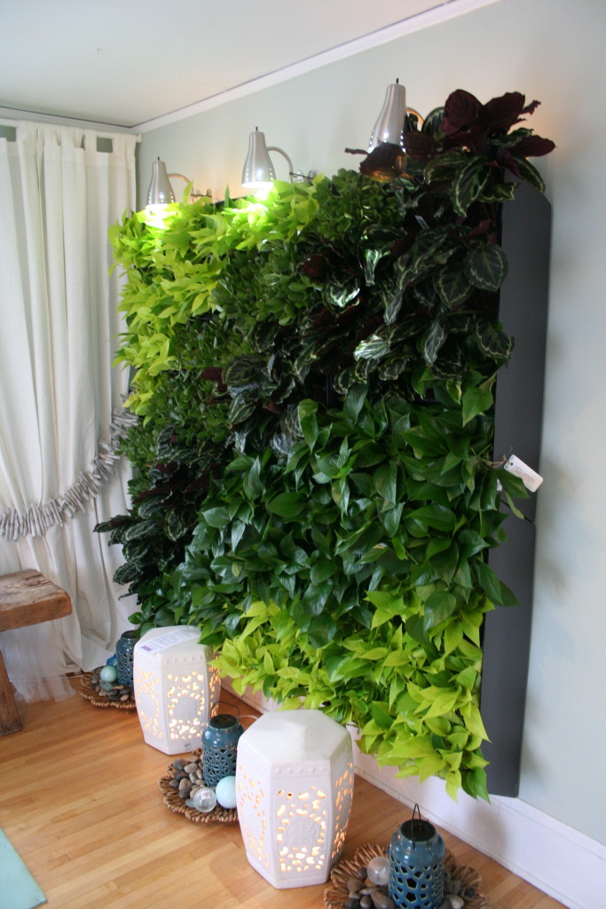 This dramatic wall of foliage includes six self-watering systems and a whole lot of plants!