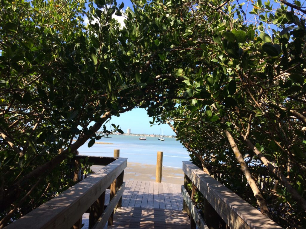 View of Sarasota Bay from Selby Gardens