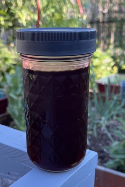 jar of serviceberry syrup