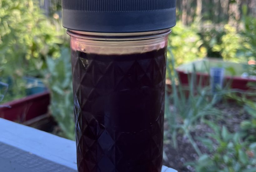 jar of serviceberry syrup