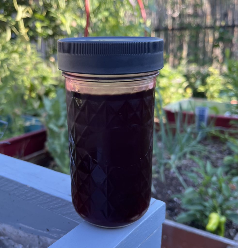 Jar of purple serviceberry syrup in a garden.