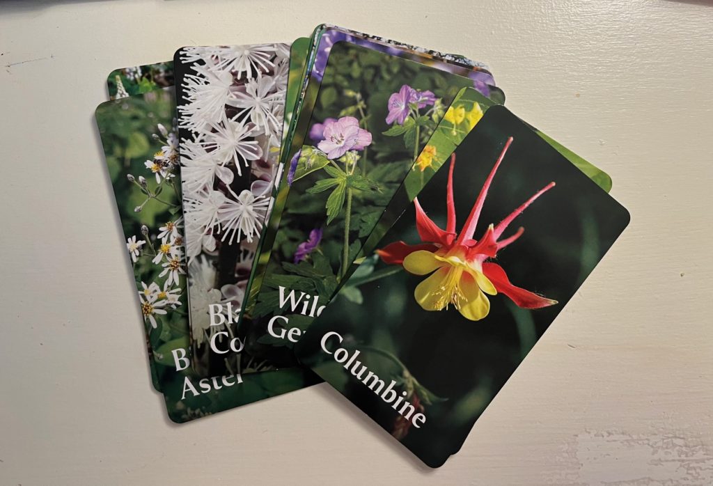 Cards from the pollinator garden planning deck 