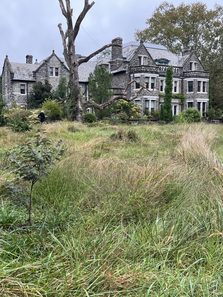 meadow in front of large stone house