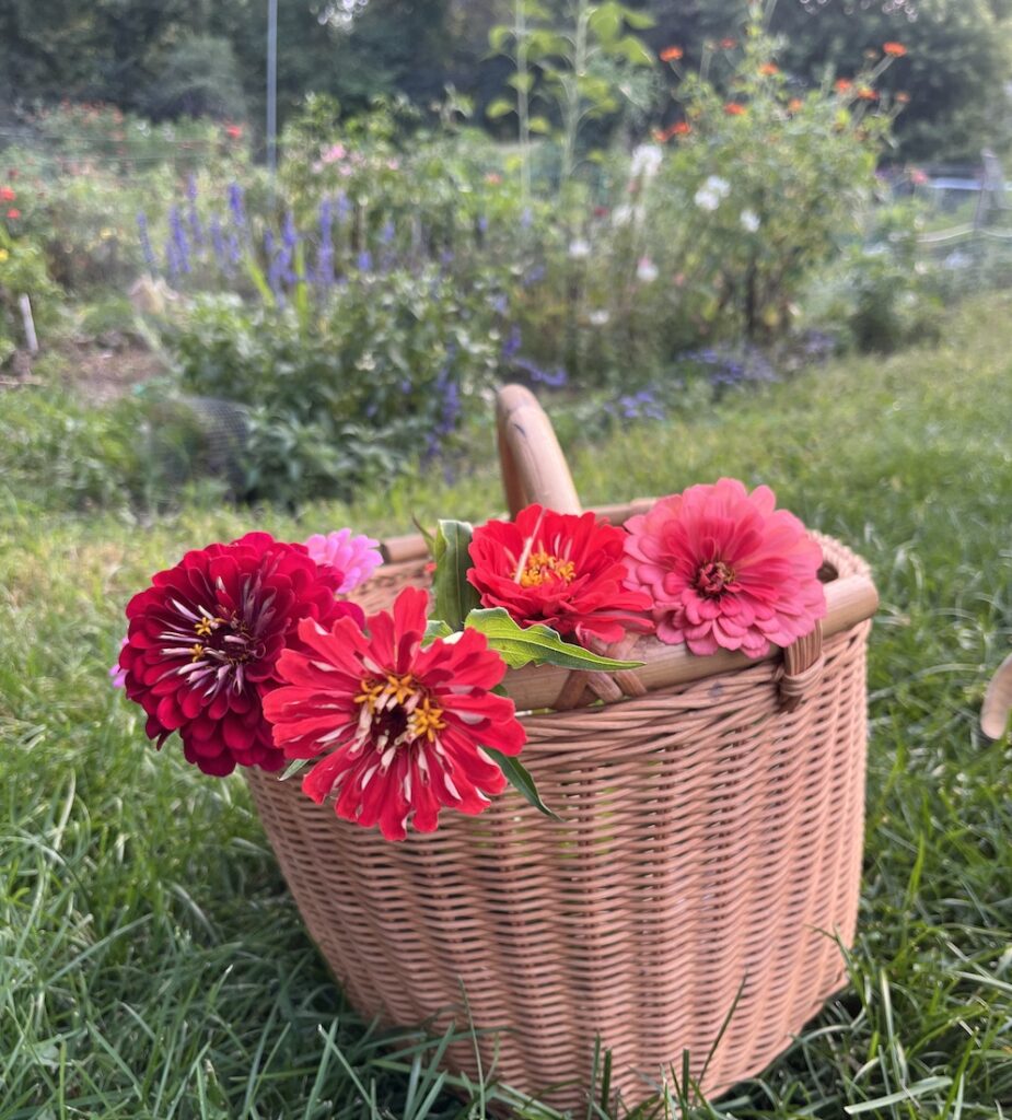 Red and pink flowers in a rustic basket in front of a community garden