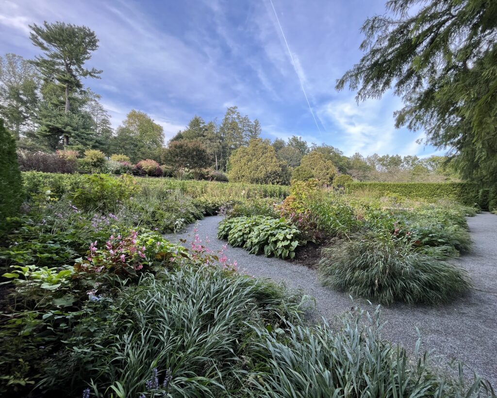 A large garden with leaves and plants of many different garden textures.