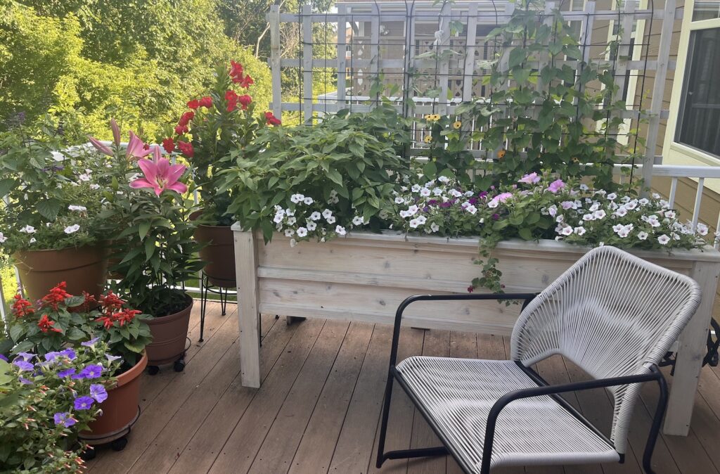 deck garden with chair in summer