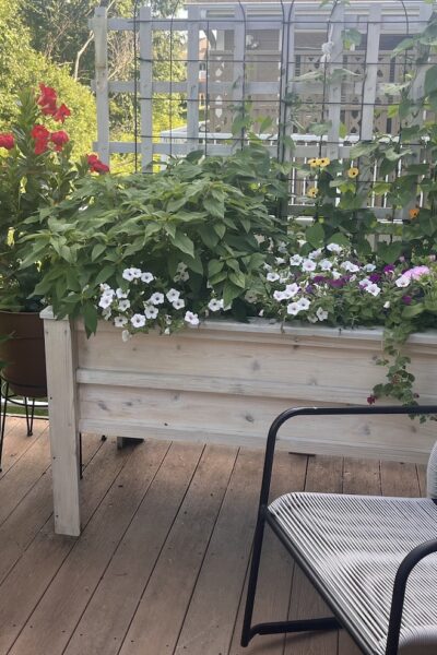 deck garden with chair in summer