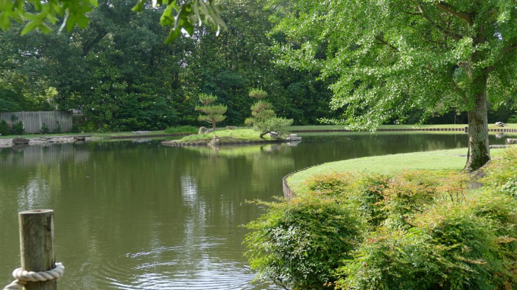 water feature in Japanese style garden