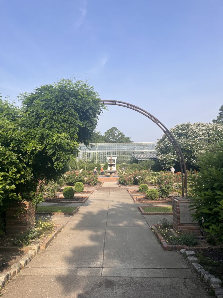 walkway into rose garden